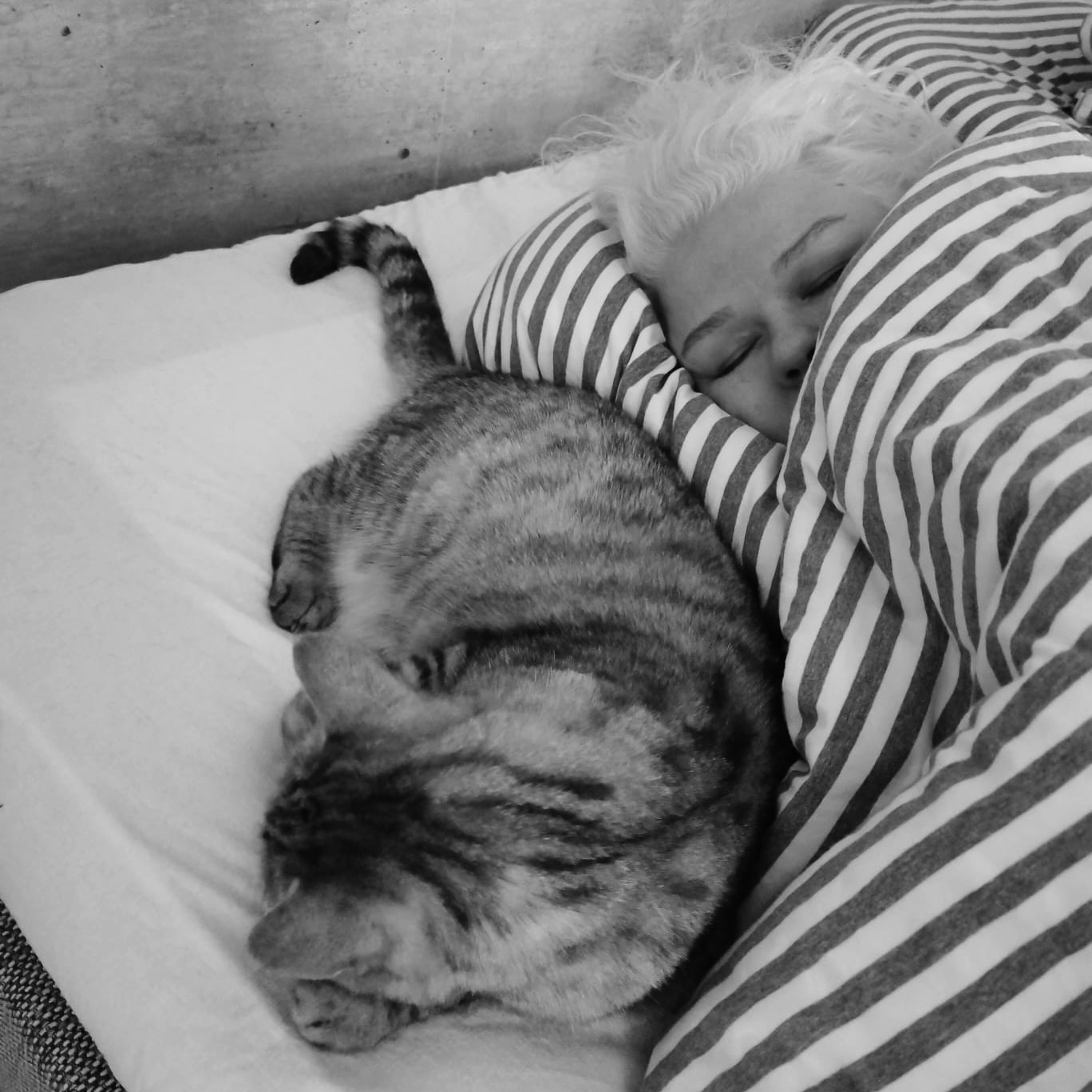 ME/CFS tietoisuuskuukausi